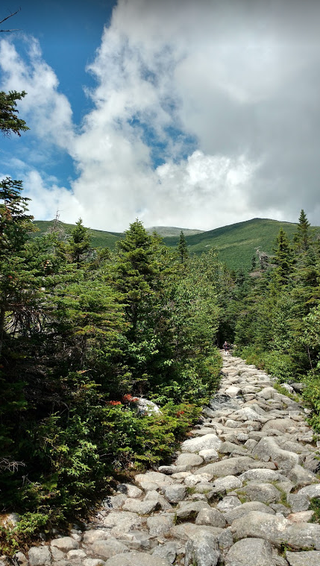 Illustration for article titled Mt Washington has been Kinja'd